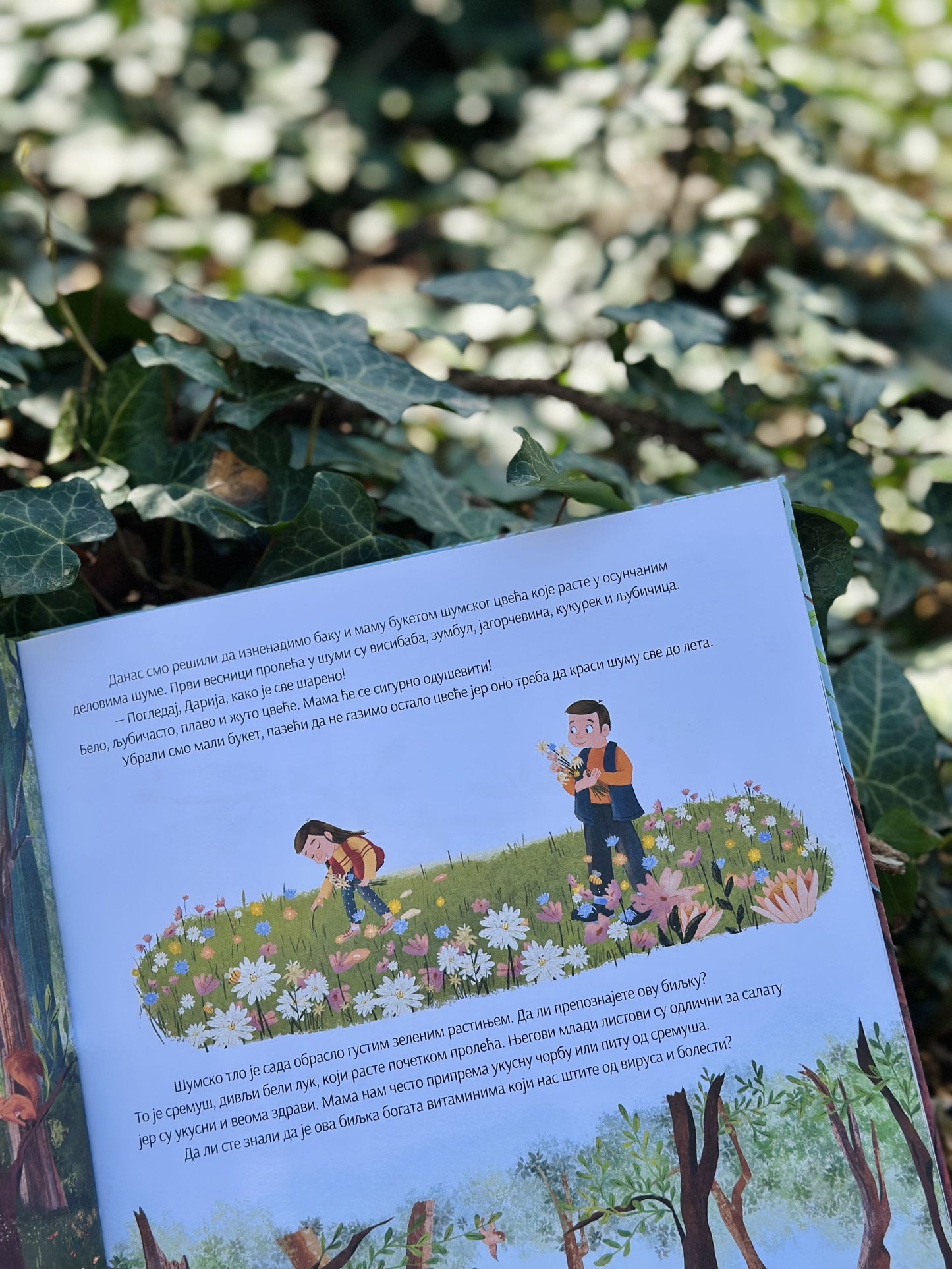 Proleće na našem selu