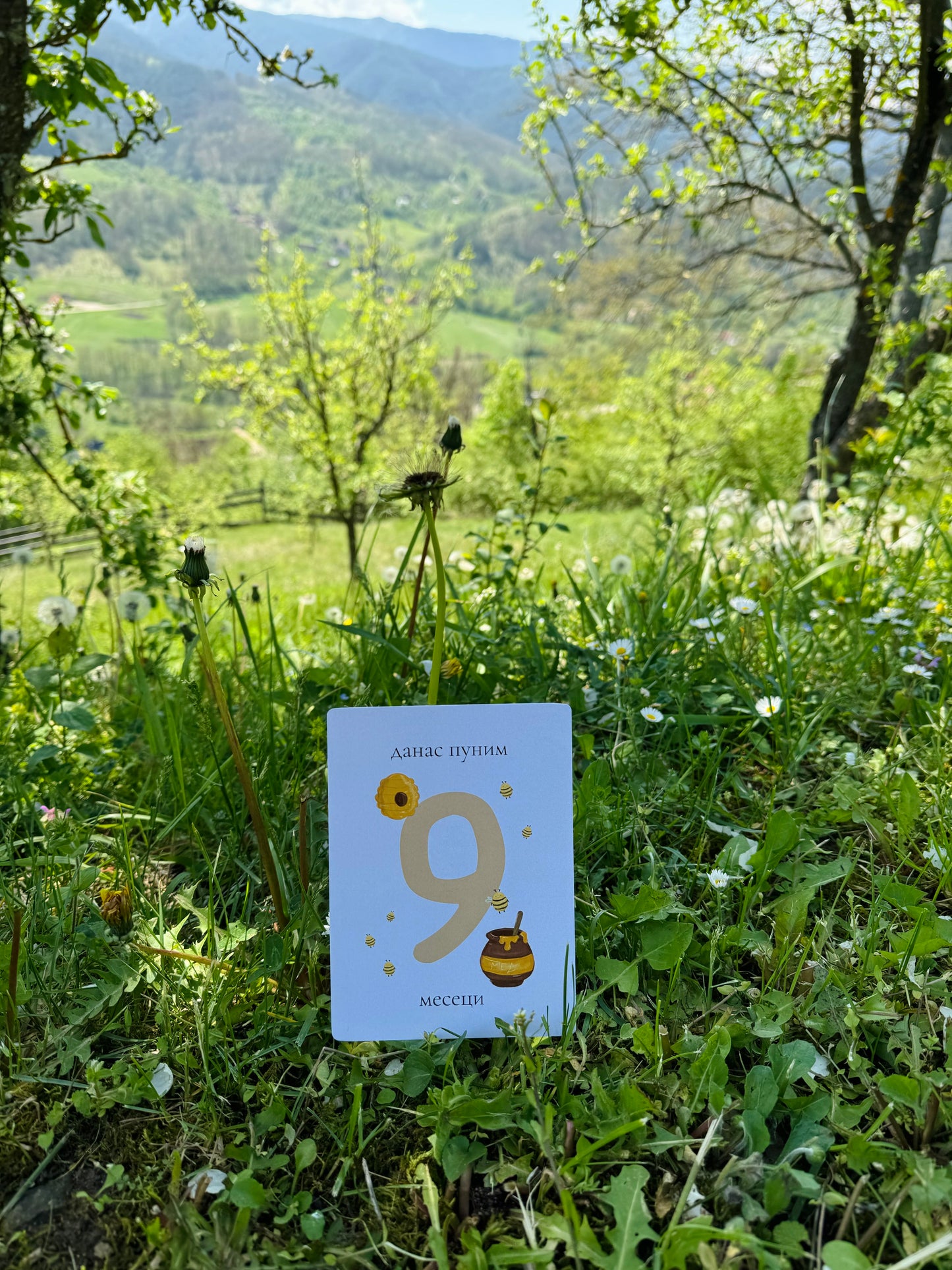 Kartice za slikanje beba