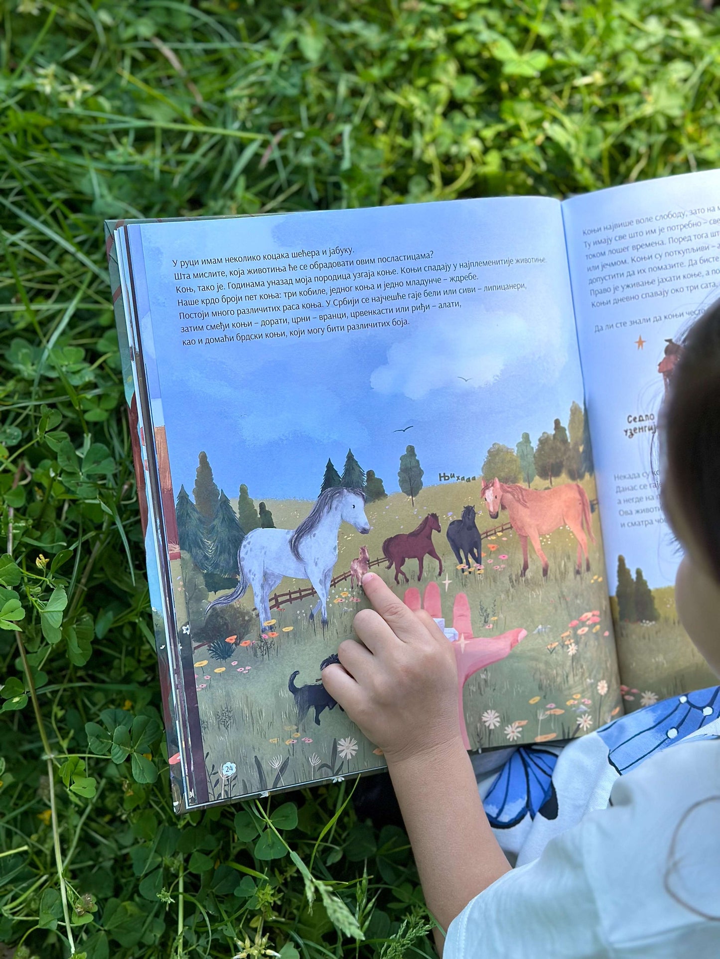 Jedan dan na seoskom imanju